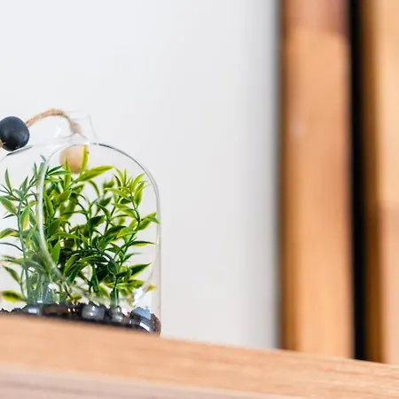 Daire Guestready - Ticlara & *